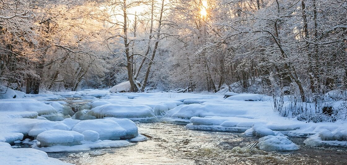 Top Ways to Prepare Your Garden for Winter Months