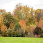 Minnesota’s outside scene will come to lifestyles on display