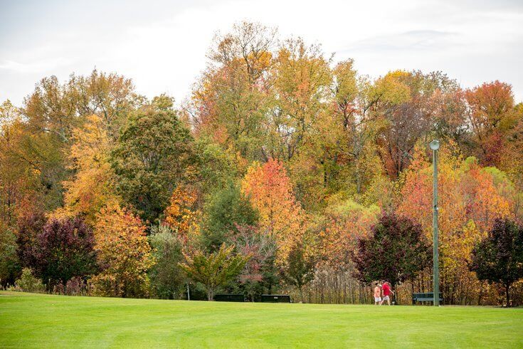 Minnesota’s outside scene will come to lifestyles on display