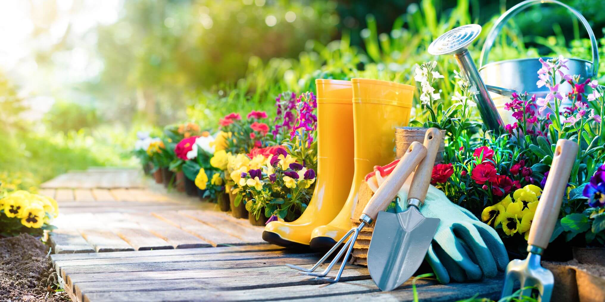 Be organized to fail, says gardening writer