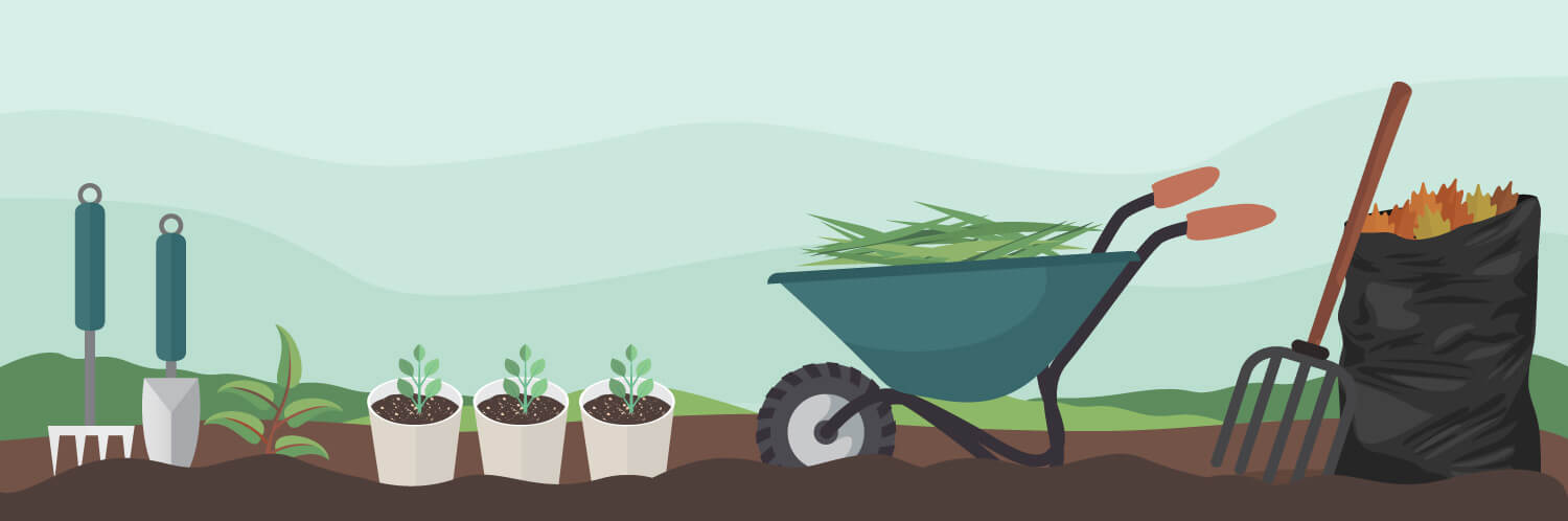 Gardening: Resolve to be geared up for spring planting