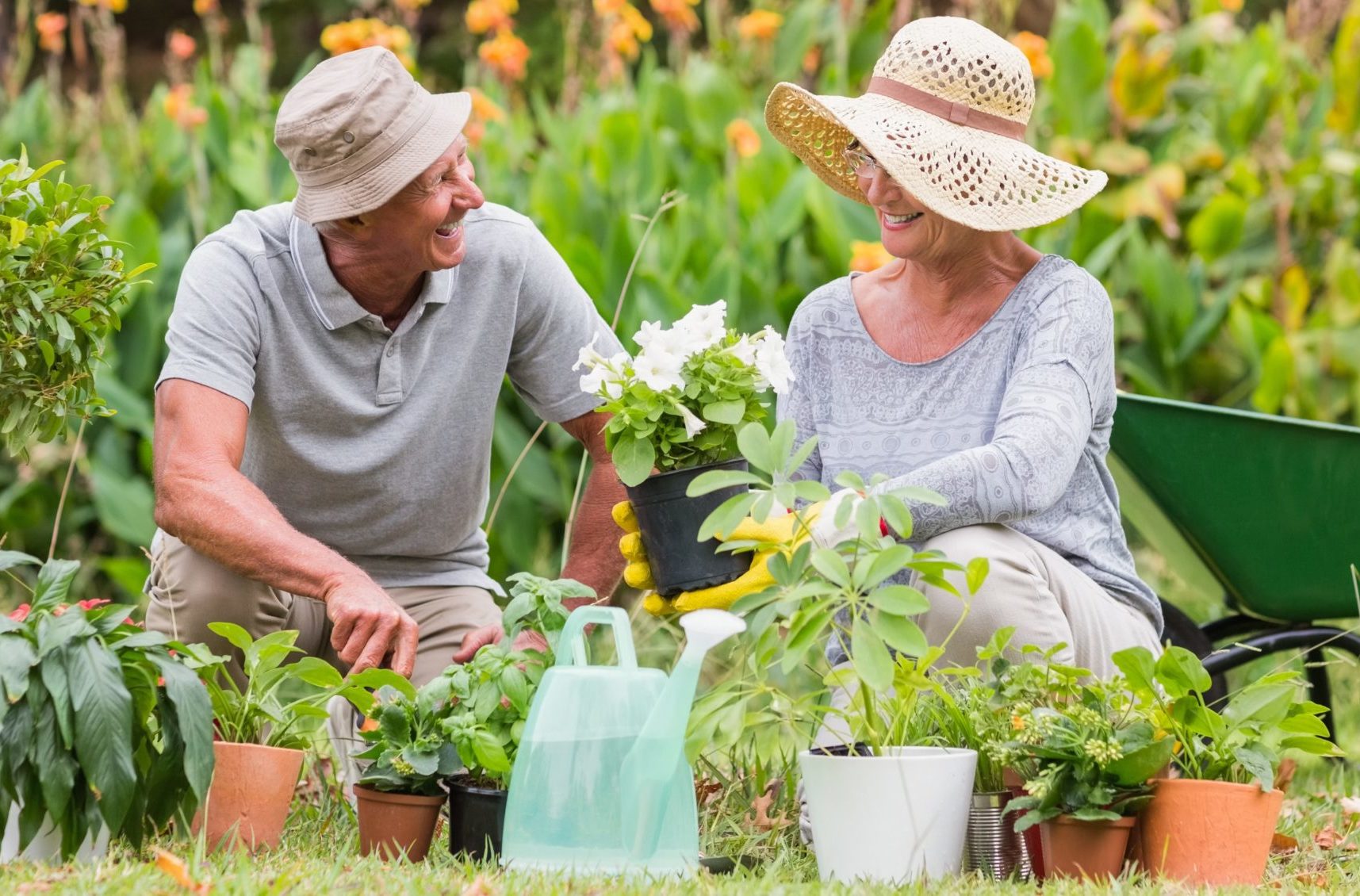 Independent garden centers near you