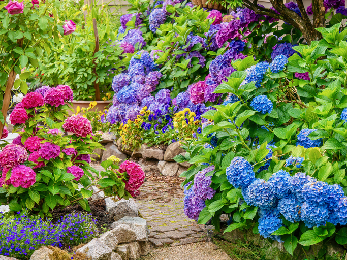 Gardening Zones: A Simple and Easy-To-Follow Plan