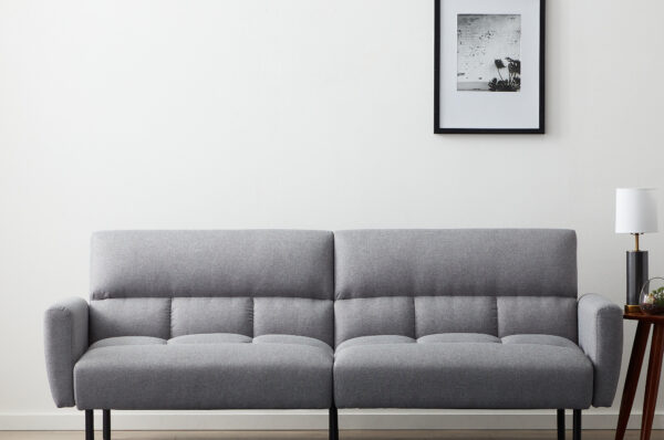 Futon couch as an original type of furniture