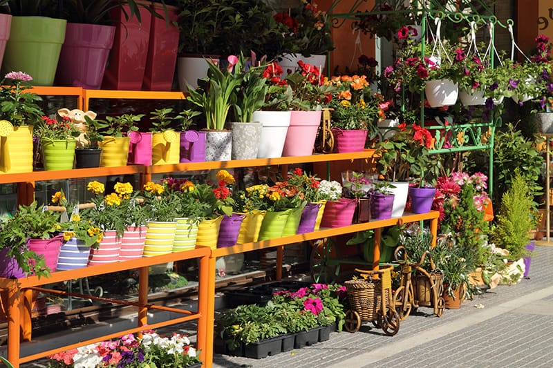 7 Gardening Stores That Sell Everything from Plants to Potting Soil