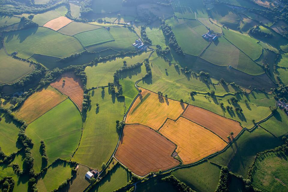 More about biodiversity net gain for developers and land owners