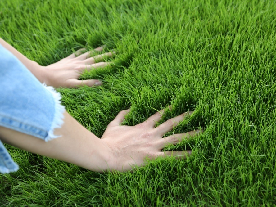 Transform Your Lawn with Artificial Grass: A Step-by-Step Installation Guide