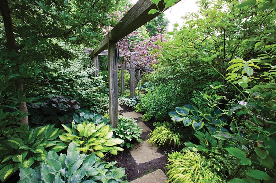 Creating a Lush Garden in Shady Spaces